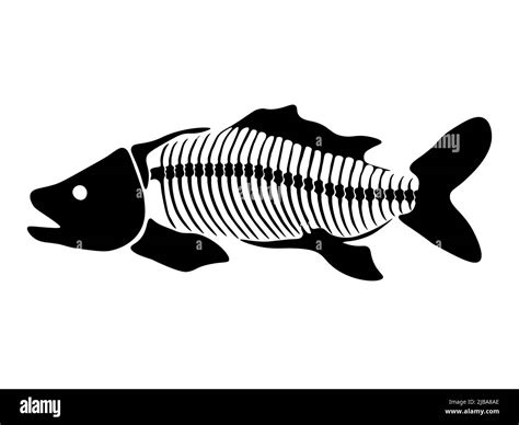 fish skeleton vector|1,988 Fish Skeleton Illustrations .